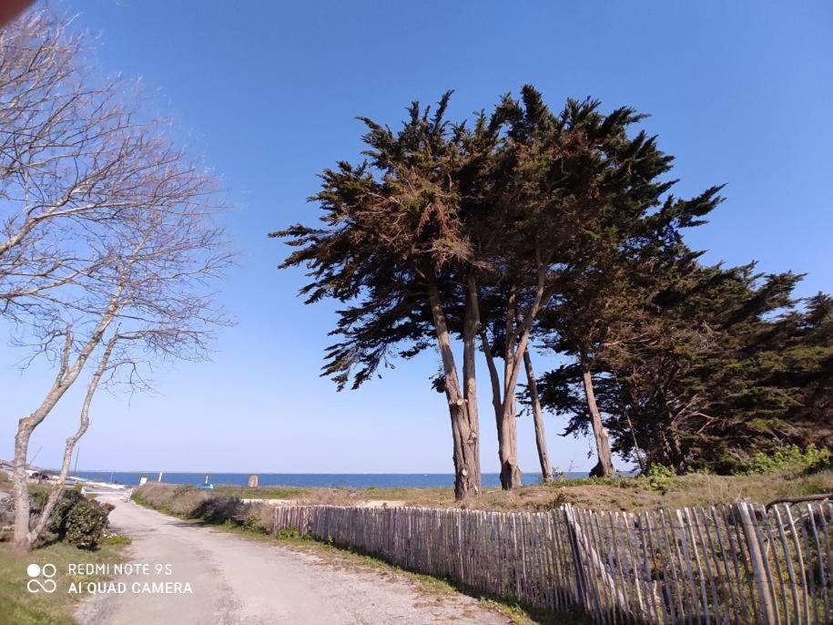 キブロンLogement En Rdc Port Haliguenアパートメント エクステリア 写真