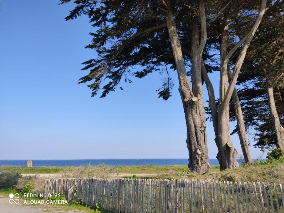キブロンLogement En Rdc Port Haliguenアパートメント エクステリア 写真